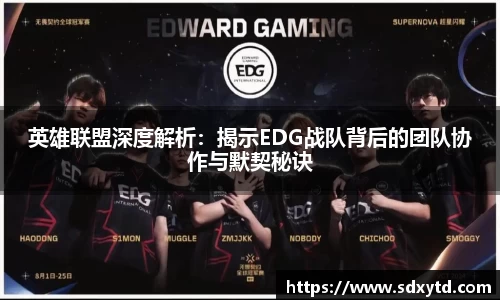 英雄联盟深度解析:揭示EDG战队背后的团队协作与默契秘诀
